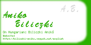 aniko biliczki business card
